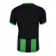 Brighton Tricou Fotbal Replică 2024-25 Barbati Treilea